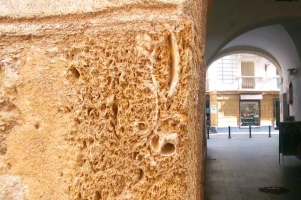 Piedra ostionera curiosidades de Cadiz